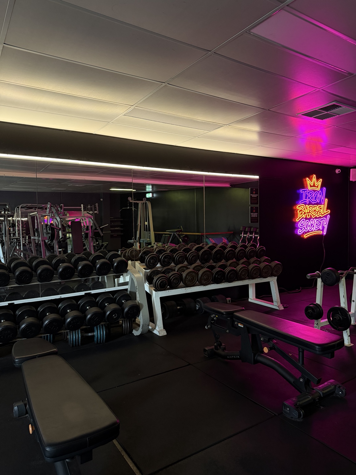 Dumbbells and strength equipment beneath the Iron Barbell Society neon sign